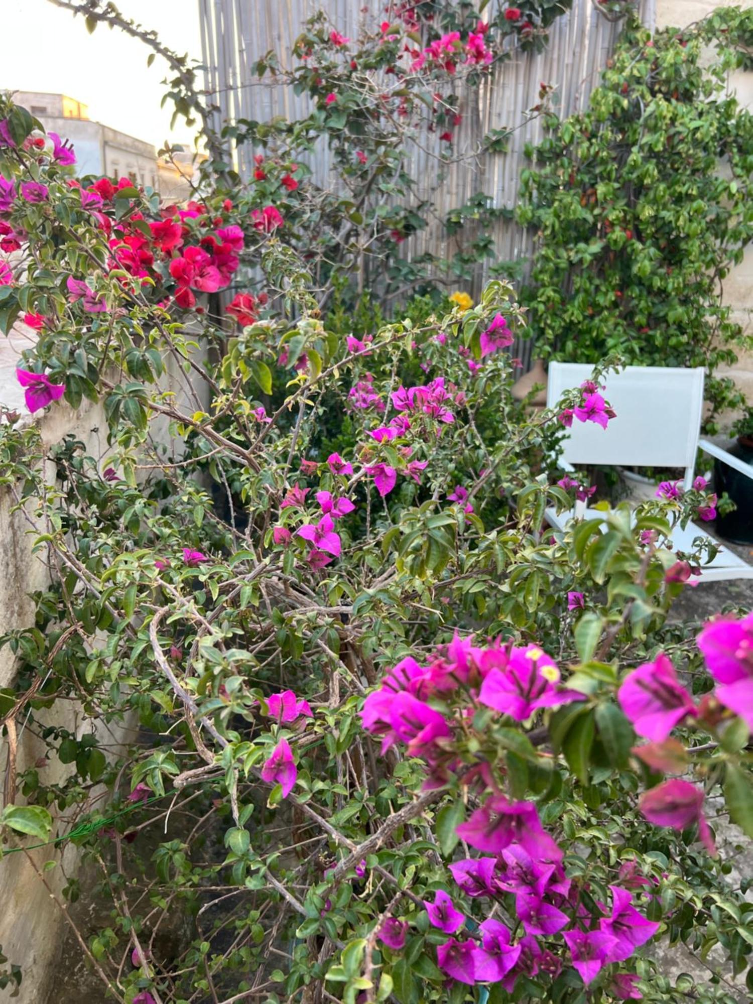 Suite Battisti 7 Lecce Exterior photo